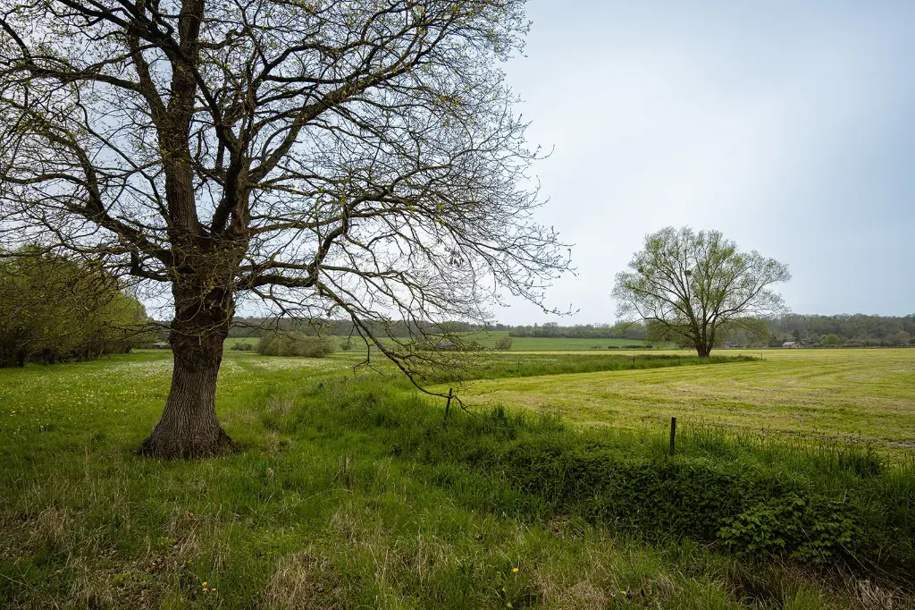 Camping - Terrein (1, 0)